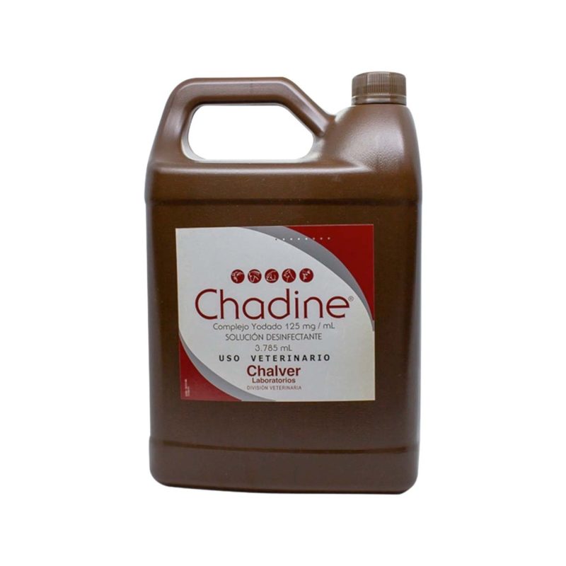18_chadine_1500x1500