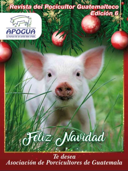 Apogua-Edicion-6-2023.jpg
