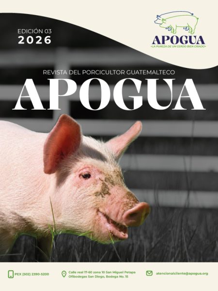 PORTADA-01