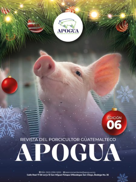REVISTA_APOGUA-6ta-edicion-01.jpg