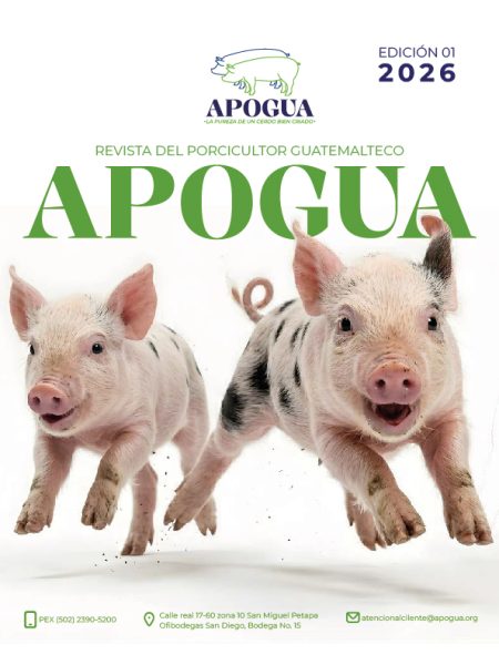 Revista-APOGUA-1ta-edicion_2026-2.jpg
