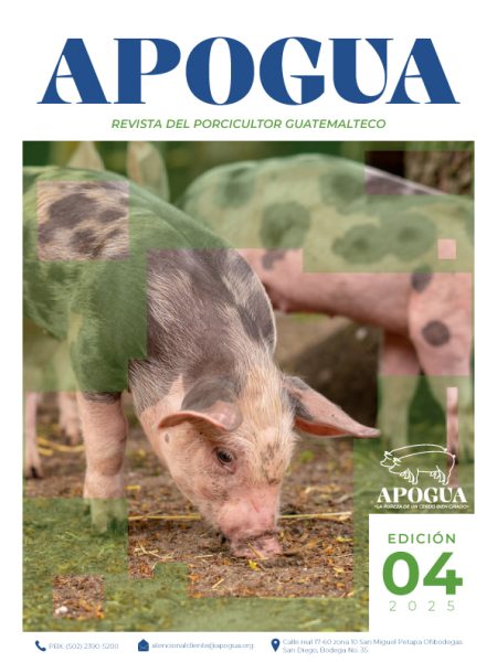 portada_edicion4-01.jpg