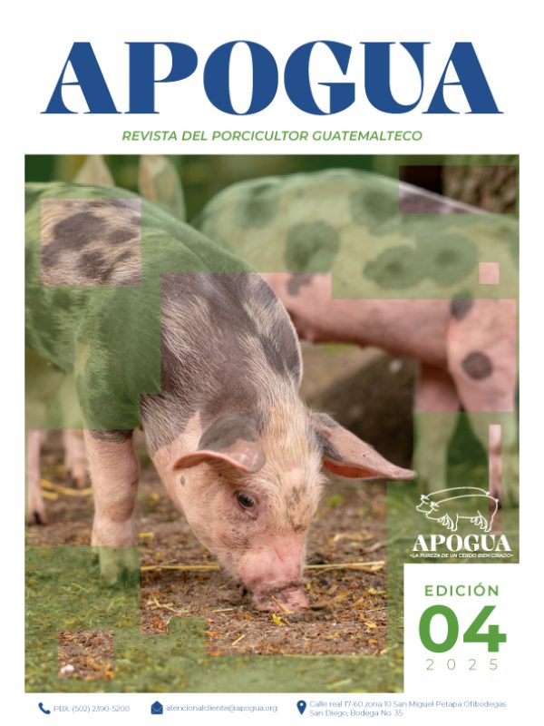 portada_edicion4-01.jpg