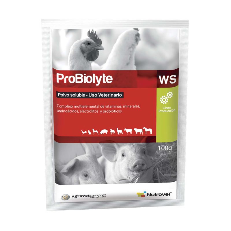 probiolyte-ws_1500x1500