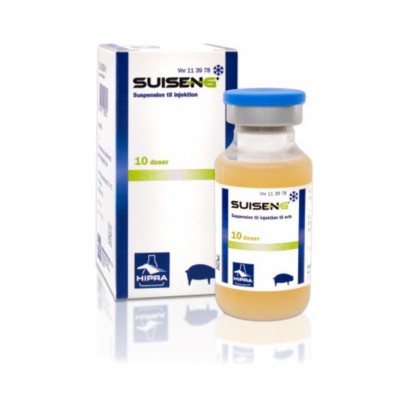 suiseng-20
